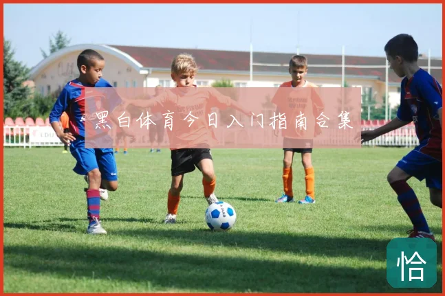 黑白体育今日入门指南合集